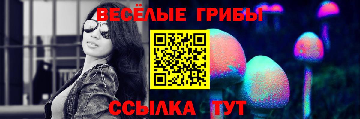 Псилоцибиновые грибы прущие грибы Йошкар-Ола